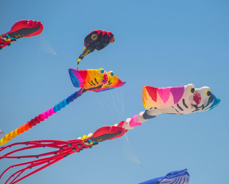 media.festival_aquiloni_cervia