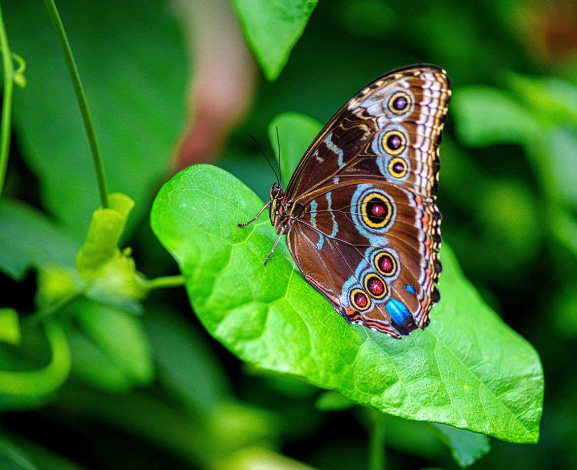 media.Highlights_CasaFarfalle_HotelRock_LidodiSavio
