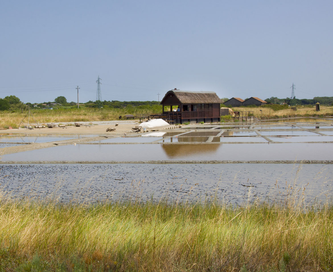 media.Highlights_Cervia_HotelRock_LidodiSavio